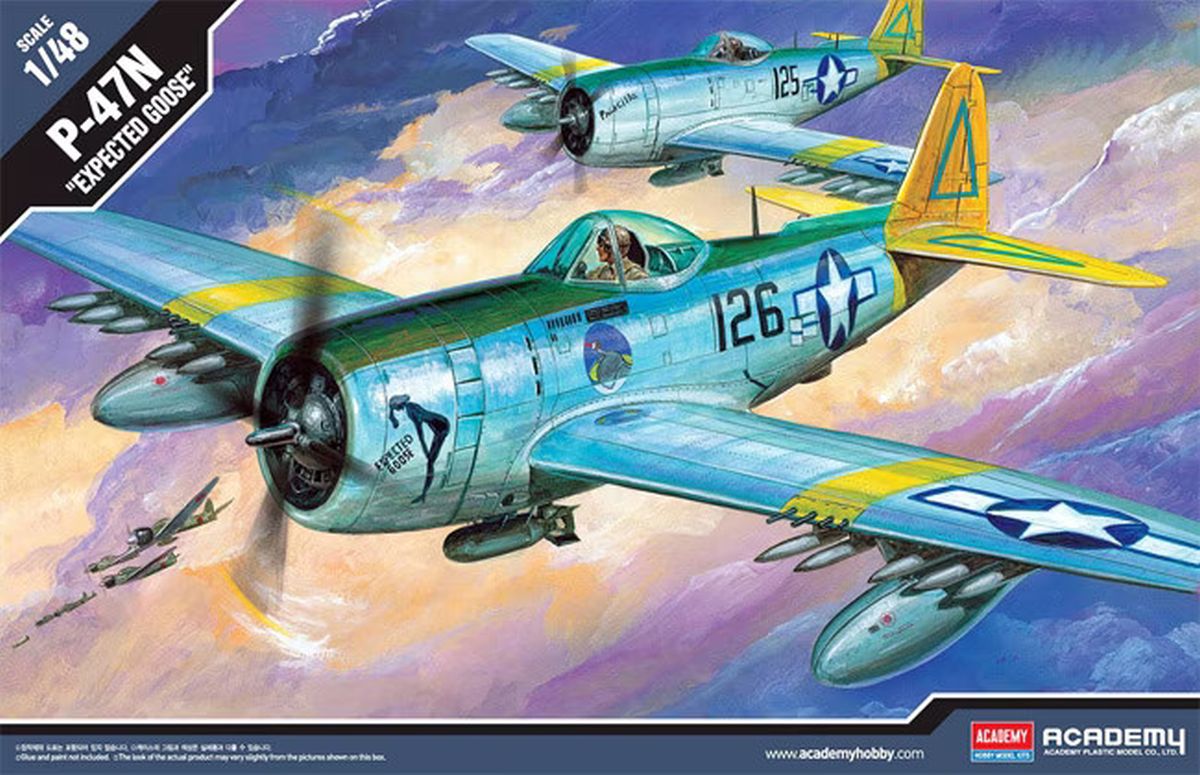 P-47N Special