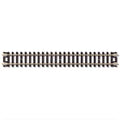 N Code 80 5'' Straight/Bulk/100pc
