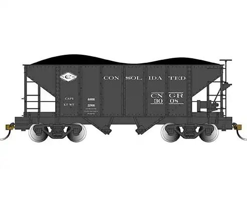CONSOLIDATED NARROW GAUGE RR #3008 & #3074