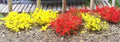 6mm Grass Tufts/Yellow&Red/100pc