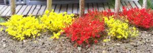 6mm Grass Tufts/Yellow&Red/100pc