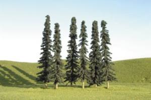 Conifer Trees 5''-6''/6pc