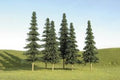 Spruce Trees 5''-6''/6pc
