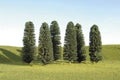 Cedar Trees 5''-6''/6pc