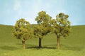 Elm Trees 3''-4''/3pc