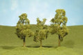 Sycamore Trees 3''-4''/3pc
