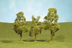 Sycamore Trees 3''-4''/3pc