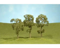 Maple Trees 3''-4''/3pc