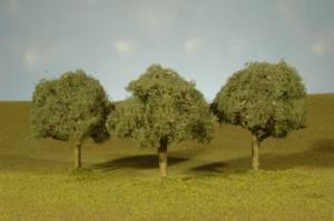 Oak Trees 3''-3.5''/3pc
