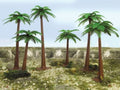 4 6 PALM TREES (6 per box)
