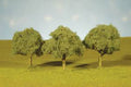 N Oak Trees 2''-2.5''/4pc