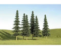 O Spruce Trees 8''-10''/3pc