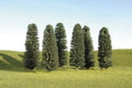 O Cedar Trees 8''-10''/3pc