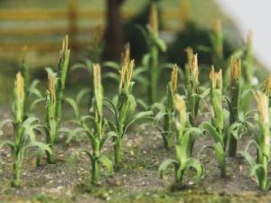 HO Corn Stalks 1'''/30pk