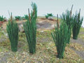 HO Cattails 3/4''/24pk