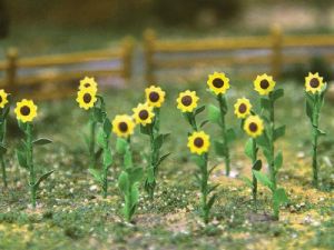 HO Sunflowers 1''/16pk