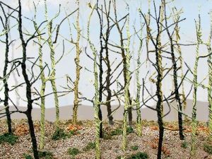 HO Wood's Edge Trees  Bare/14pk