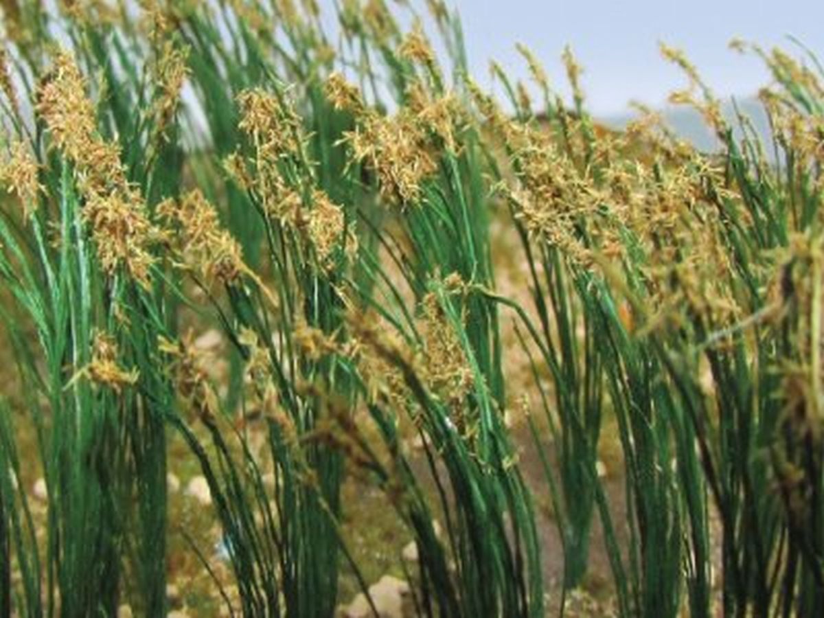 HO REEDS 1 TALL (40/pk)
