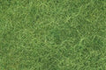 Foliage Fiber/Lt.Green