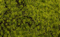 Tufted Grass Mat/Lt.Green