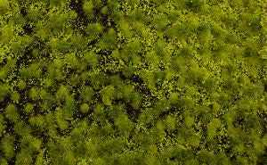 Tufted Grass Mat/Lt.Green