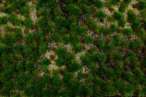 Tufted Grass Mat/Gold