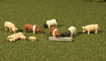 HO Pigs/9pc