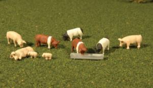 HO Pigs/9pc