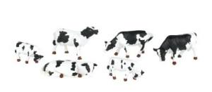 O Cows/blk&wht/6pc