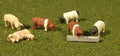 O Pigs/9pc