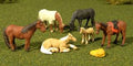 O Horses/6pc