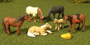 O Horses/6pc