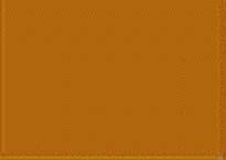 MODELFLEX NH Imitation Gold