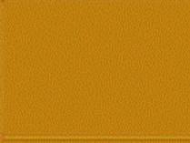MODELFLEX B&O Dulux Gold