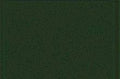 MODELFLEX CNW Dark Green