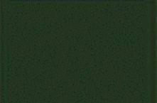 MODELFLEX CNW Dark Green