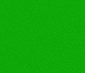 MODELFLEX BN Green