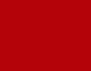 MODELFLEX SP Daylight Red