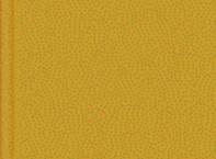 MODELFLEX SP Armour Yellow