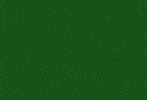 MODELFLEX SOU Sylvan Green