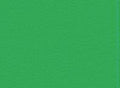 MODELFLEX Light Green