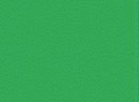 MODELFLEX Light Green