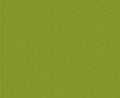 MODELFLEX Weyerhauser Yellow Green