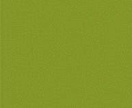 MODELFLEX Weyerhauser Yellow Green