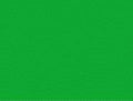 MODELFLEX PC Green