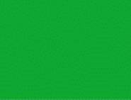 MODELFLEX PC Green