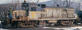 HO RS-3M Chop Nose Diesel w/Sound D&H Lightning Strip 505