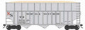 HO NS wood chip #8216