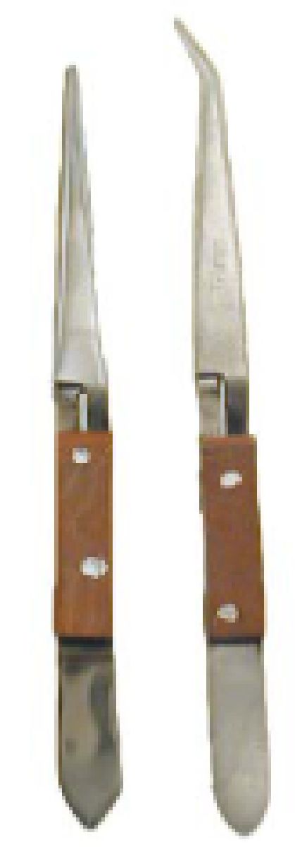 3 pc. Wood Handle Tweezer Set Carded