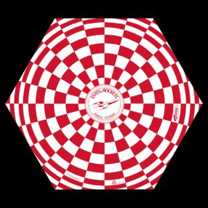 24'' Parachute